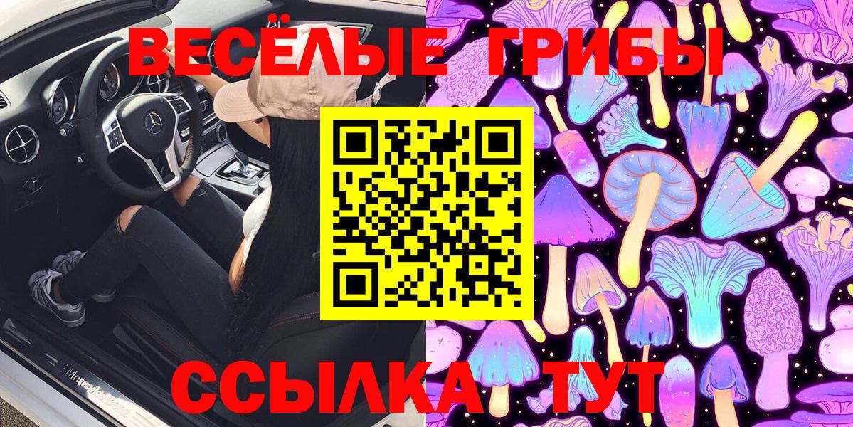 Галлюциногенные грибы MAGIC MUSHROOMS  Галлюциногенные грибы ЛСД  Сертолово  Вход с VPN 