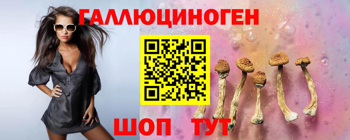 Псилоцибиновые грибы MAGIC MUSHROOMS Сертолово